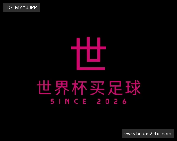 了解世界杯买足球